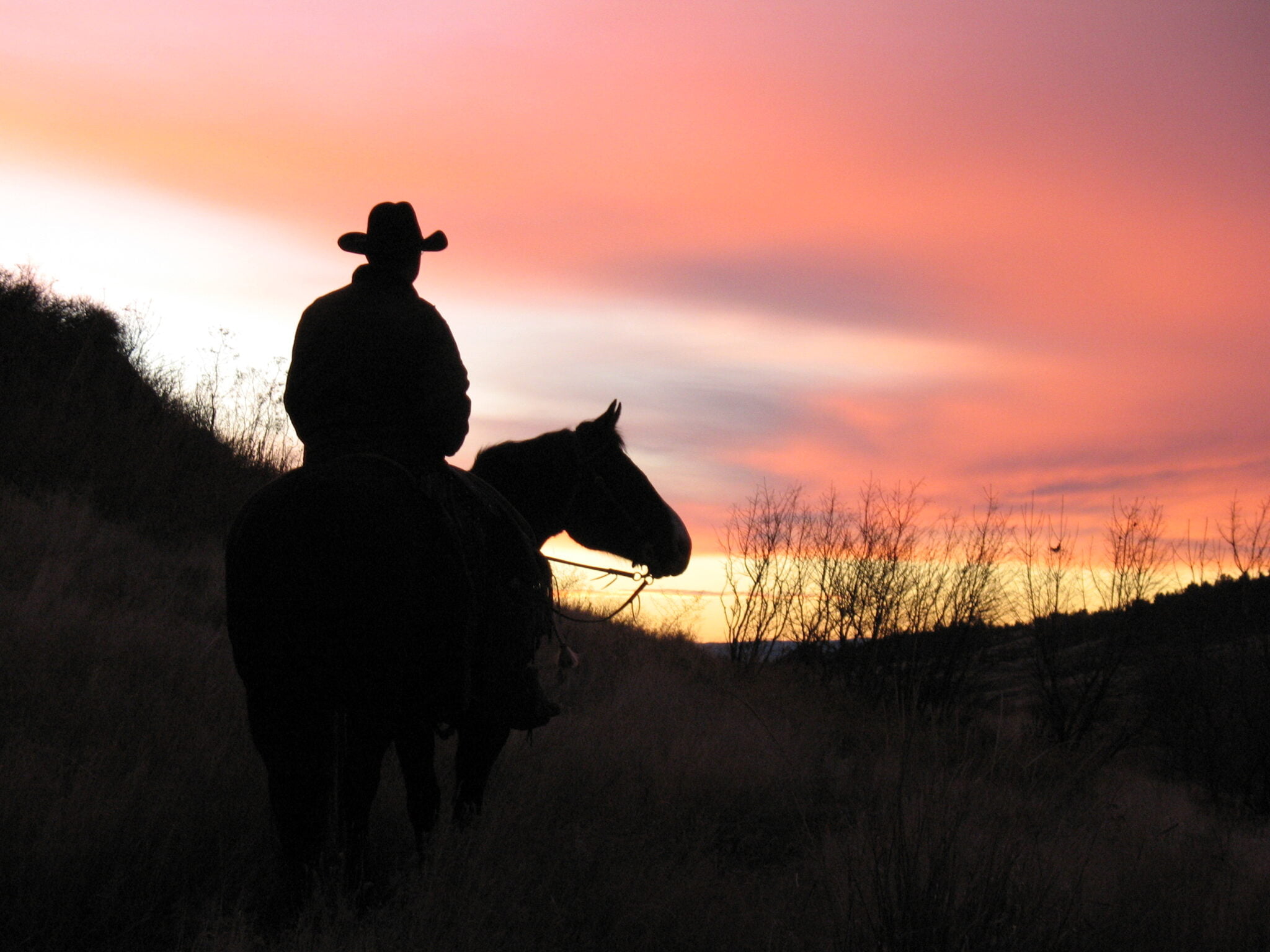 The Adventure Cowboy