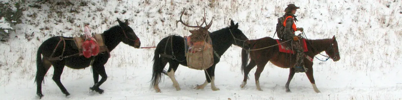 The Adventure Cowboy packing out a hunter's elk.